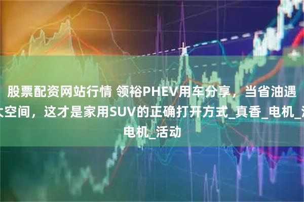 股票配资网站行情 领裕PHEV用车分享，当省油遇上大空间，这才是家用SUV的正确打开方式_真香_电机_活动
