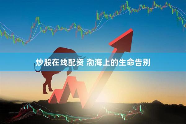 炒股在线配资 渤海上的生命告别